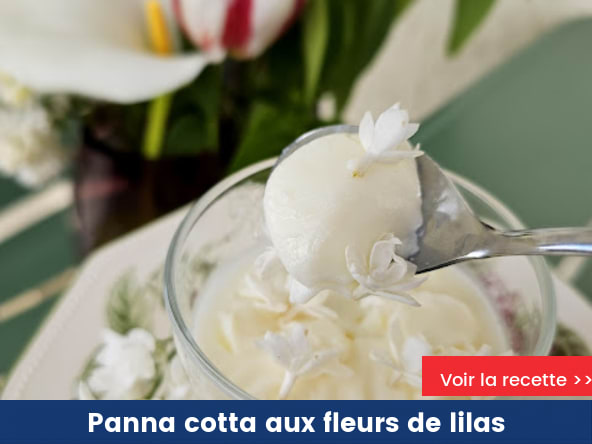 Panna cotta aux fleurs de lilas